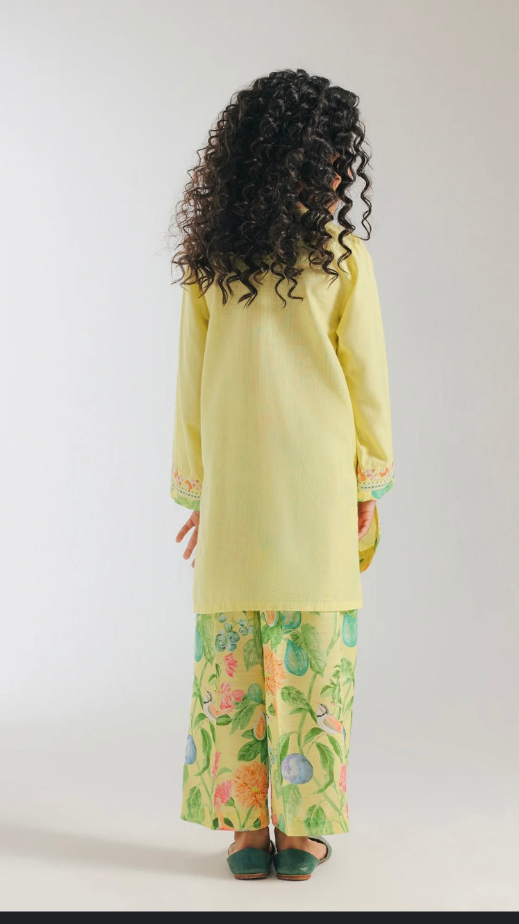 Ethnic -Embroidered Suit-2Pc