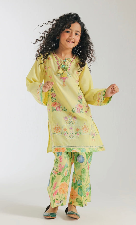 Ethnic -Embroidered Suit-2Pc