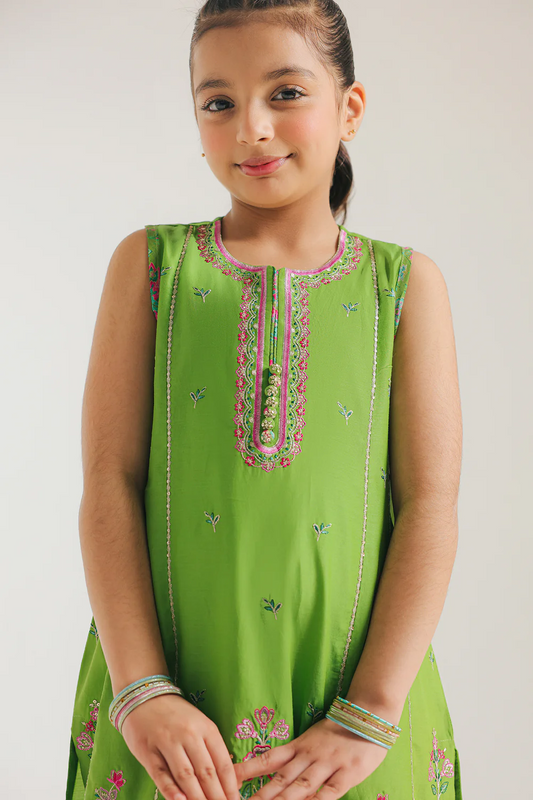Ethnic-Embroidered Suit-2 PC