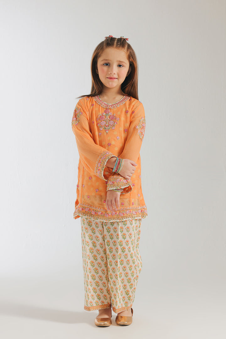 Ethnic-Embroidered Suit-2PC