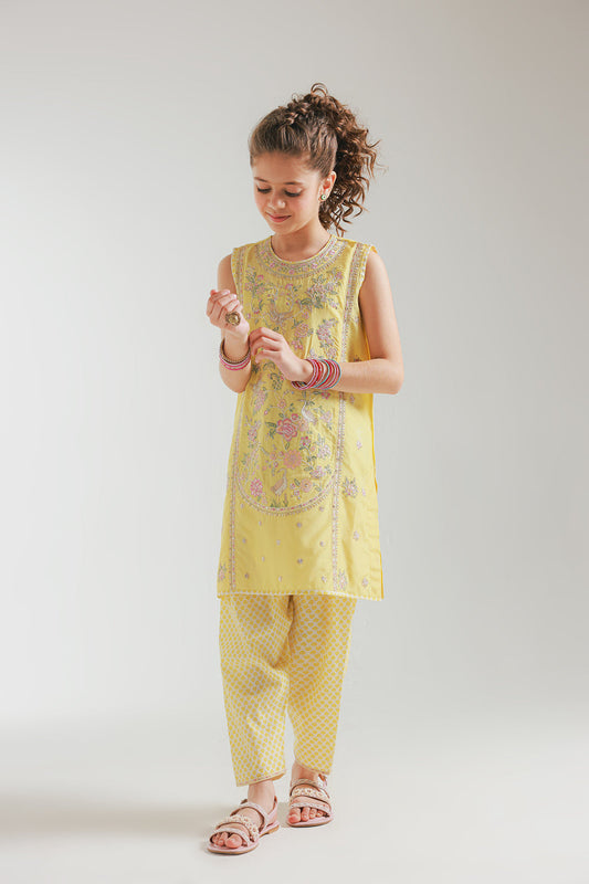Ethnic -Embroidered-2PC