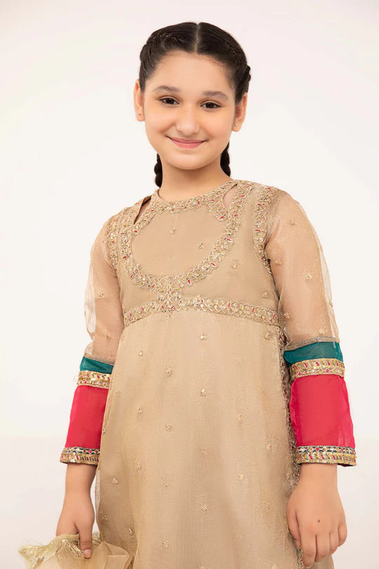 Maria B- Embroidered Zari Net Suit-3PC