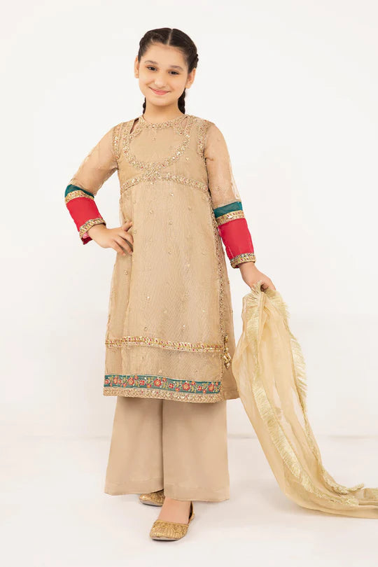 Maria B- Embroidered Zari Net Suit-3PC