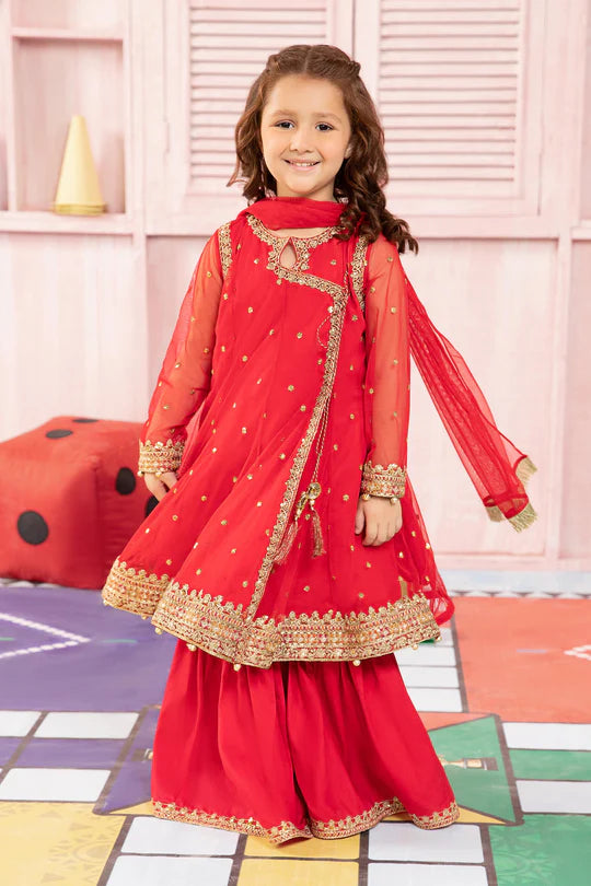 Maria B-Embroidered Net Suit-3PC