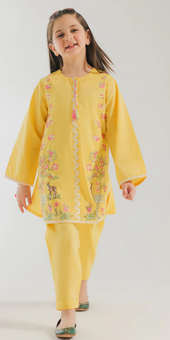 Ethnic -Embroidered Suit-2Pc
