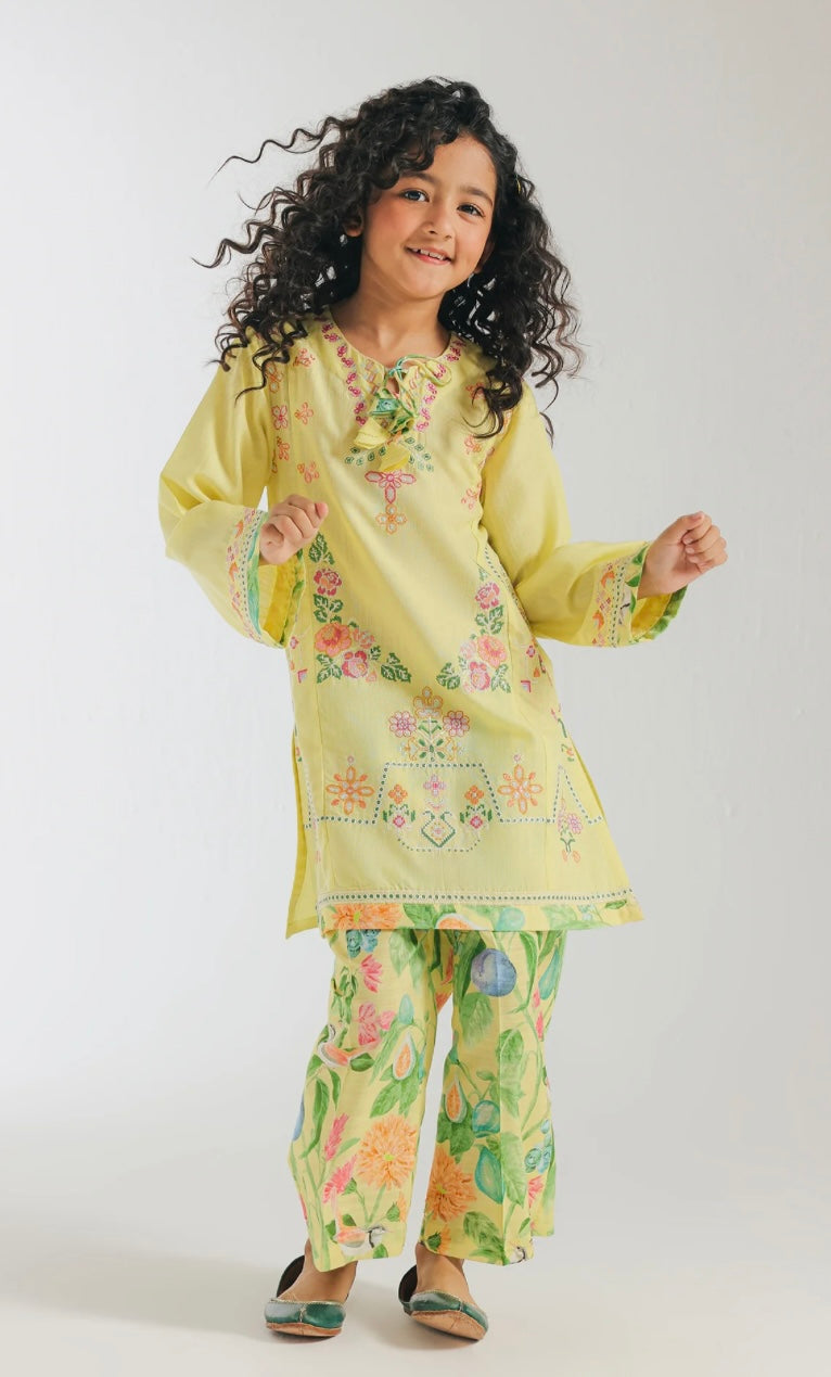 Ethnic -Embroidered Suit-2Pc