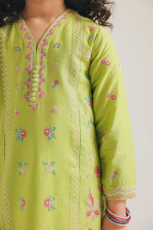 Ethnic -Embroidered Dress-2PC
