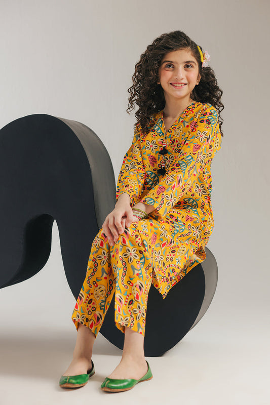 Ethnic -Printed Suit-2Pc