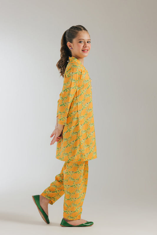 Ethnic -Printed Suit-2PC