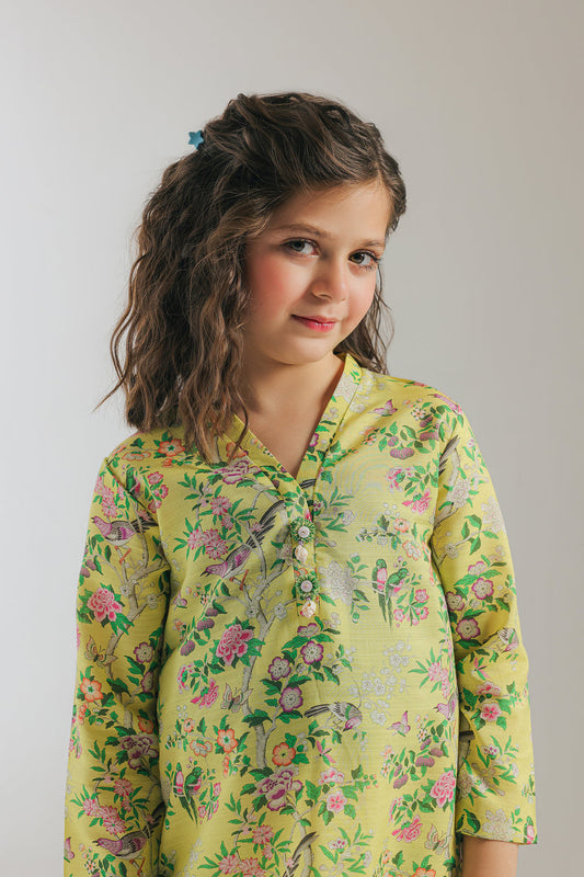 Ethnic -Printed Suit -2PC