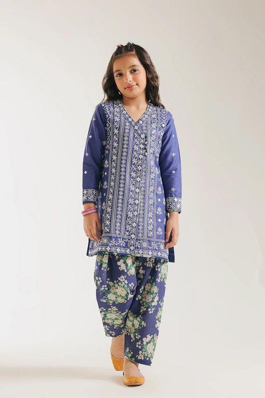 Ethnic Embrioded Suit -3PC